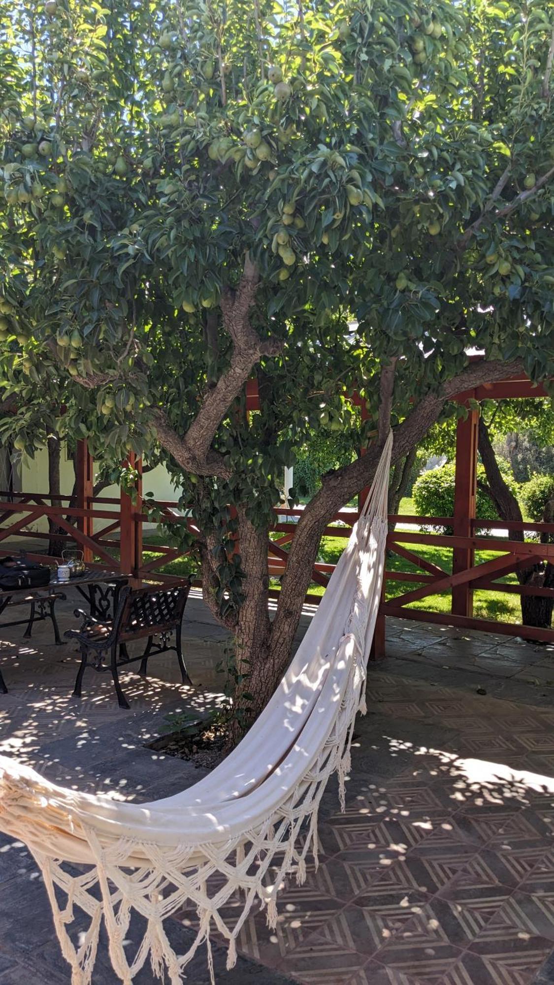Holiday home Casa Pampa Sarmiento (Chubut)